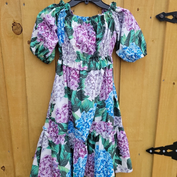 Lien Mulien Floral Spring Dress sz Small - Picture 1 of 9